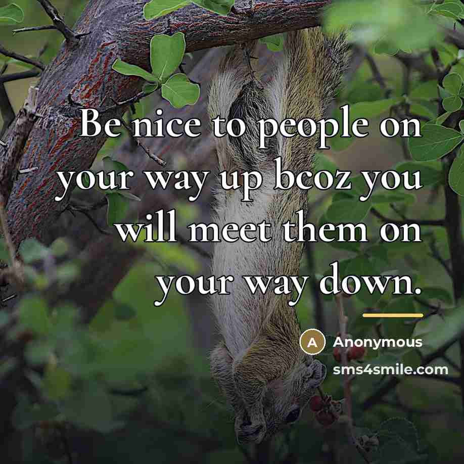 “Be nice to people on your way up bcoz you…” quote by Anonymous