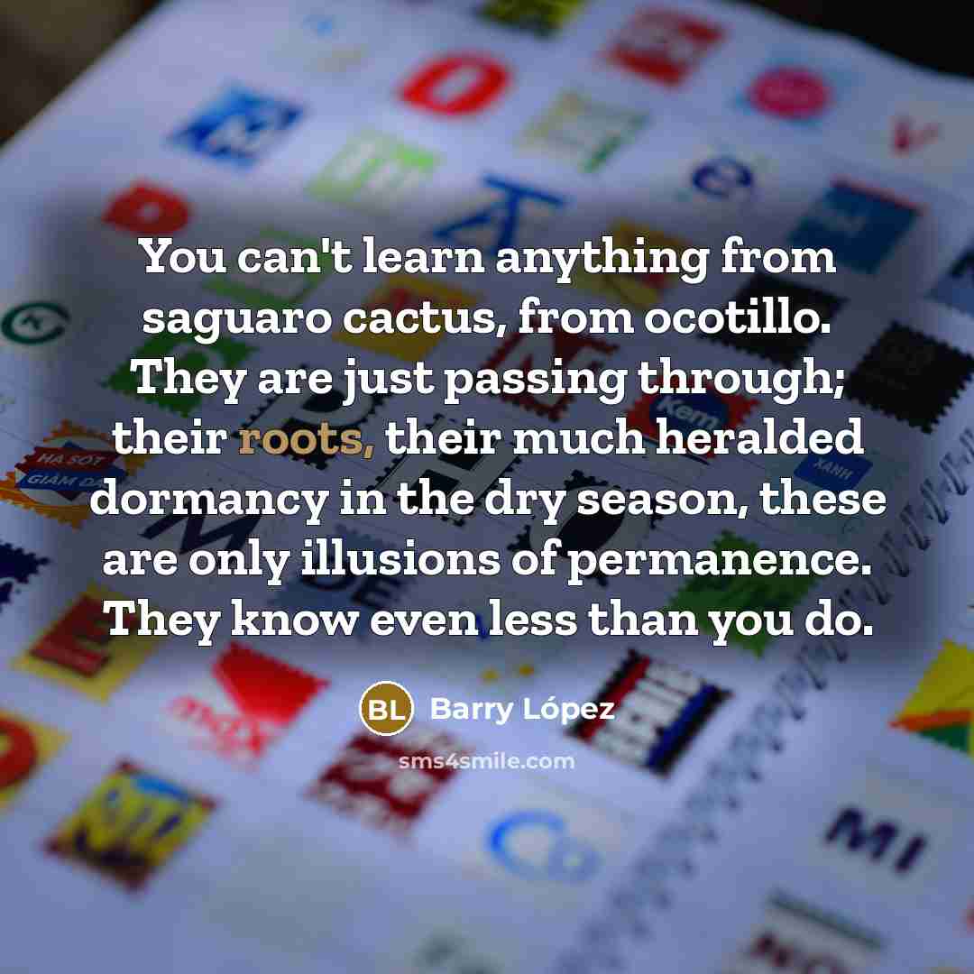 “You can't learn anything from saguaro cactus, from ocotillo. They…” quote by Barry Lopez