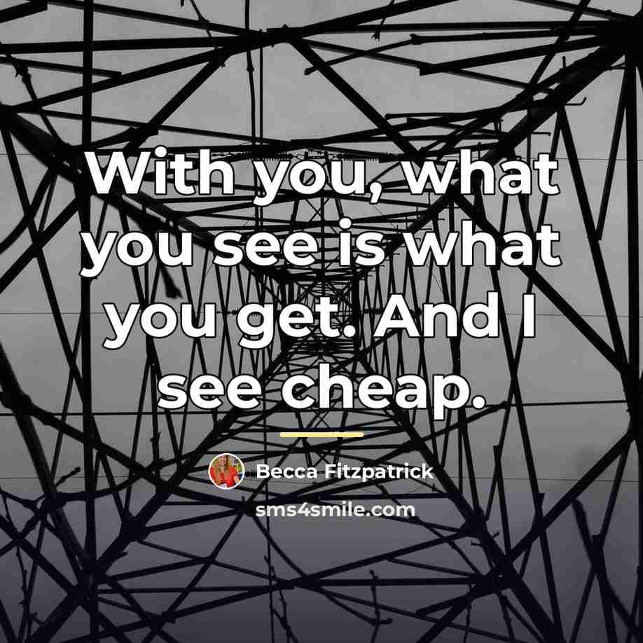 “With you, what you see is what you get. And…” quote by Becca Fitzpatrick