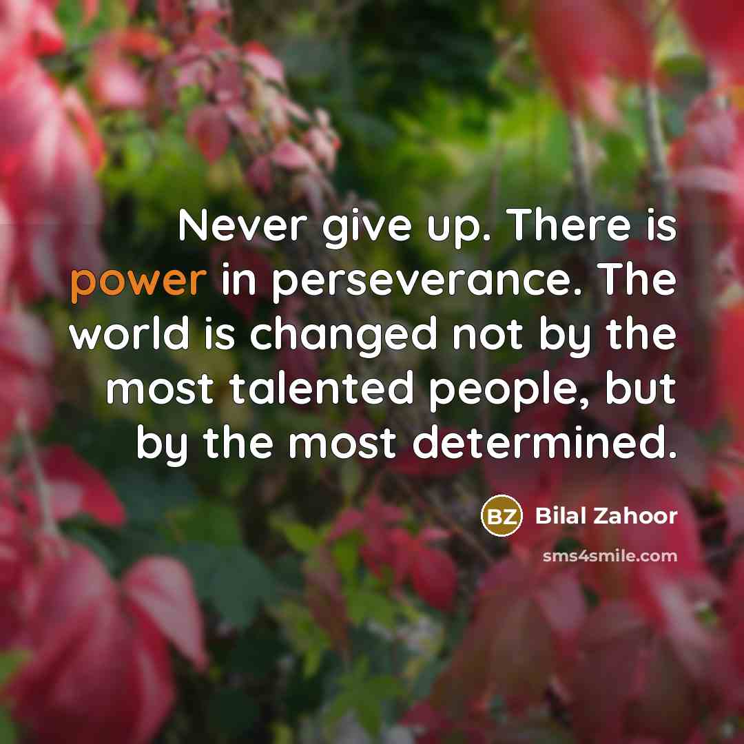 “Never give up. There is power in perseverance. The world…” quote by Bilal Zahoor