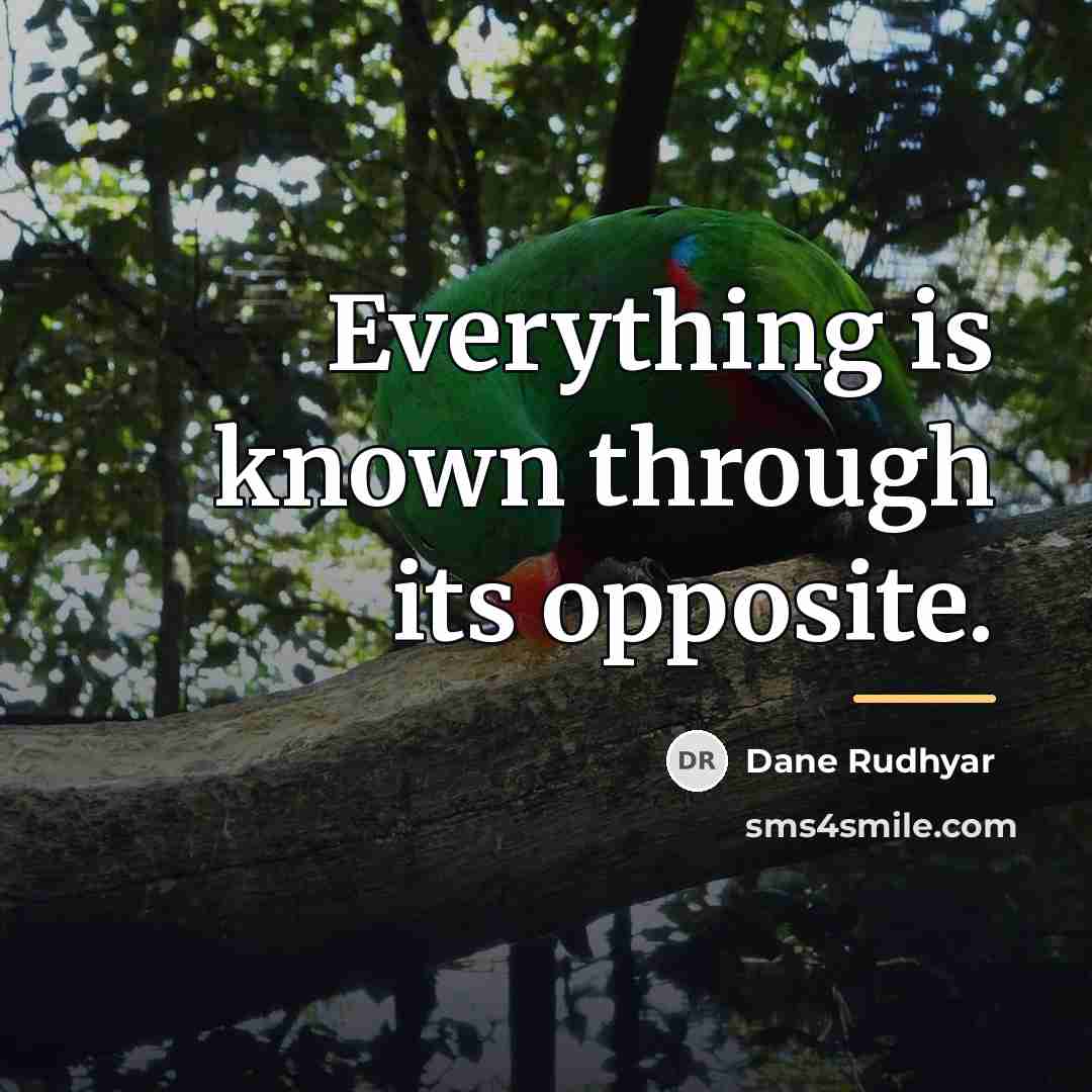 “Everything is known through its opposite.…” quote by Dane Rudhyar