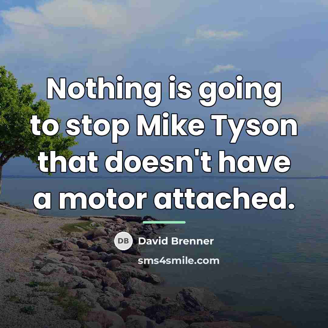 “Nothing is going to stop Mike Tyson that doesn't have…” quote by David Brenner