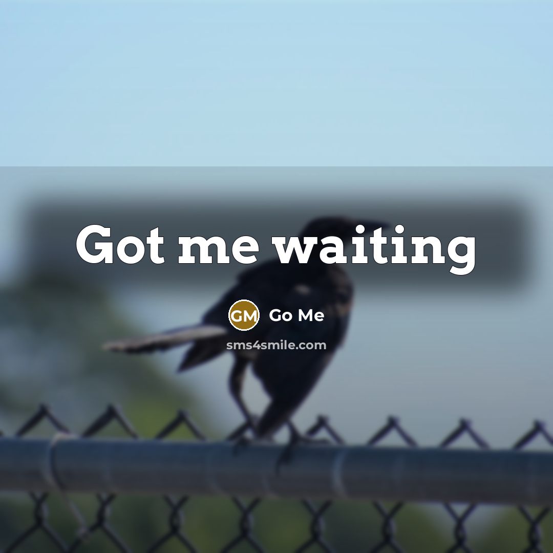 “Got me waiting” quote by Go Me