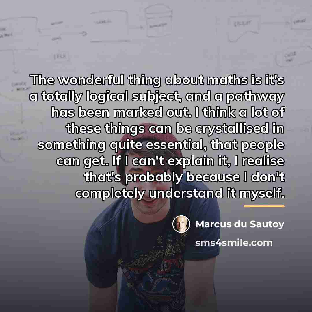 “The wonderful thing about maths is it's a totally logical…” quote by Marcus du Sautoy
