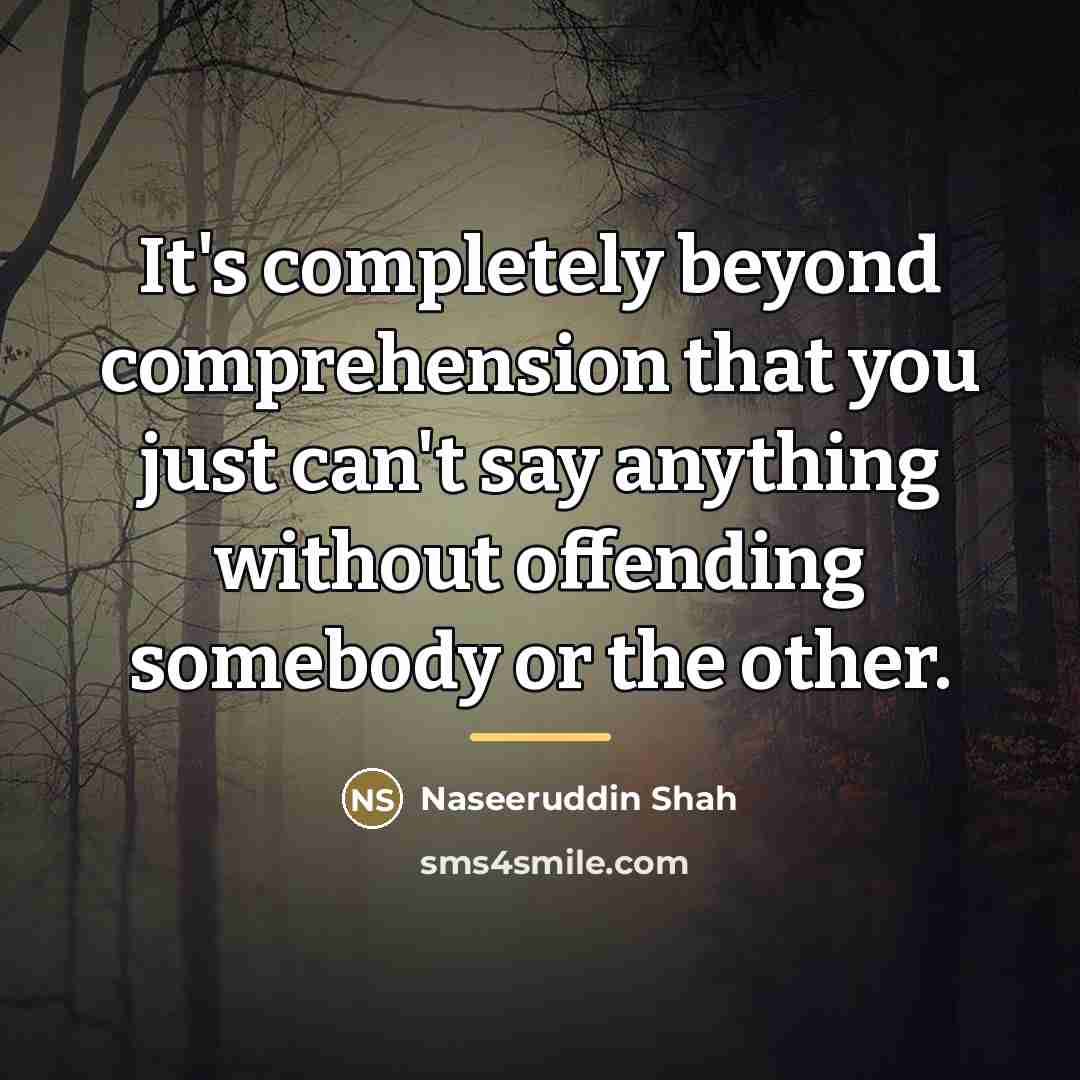 “It's completely beyond comprehension that you just can't say anything…” quote by Naseeruddin Shah