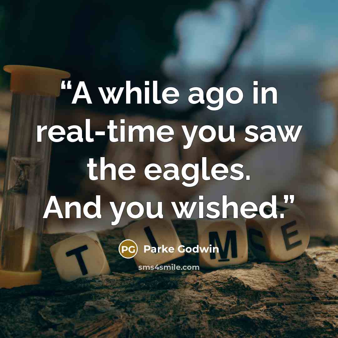 “A while ago in real-time you saw the eagles. And you wished.” quote by Parke Godwin