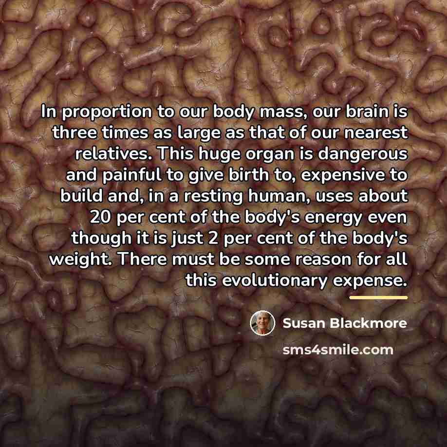 “In proportion to our body mass, our brain is three…” quote by Susan Blackmore