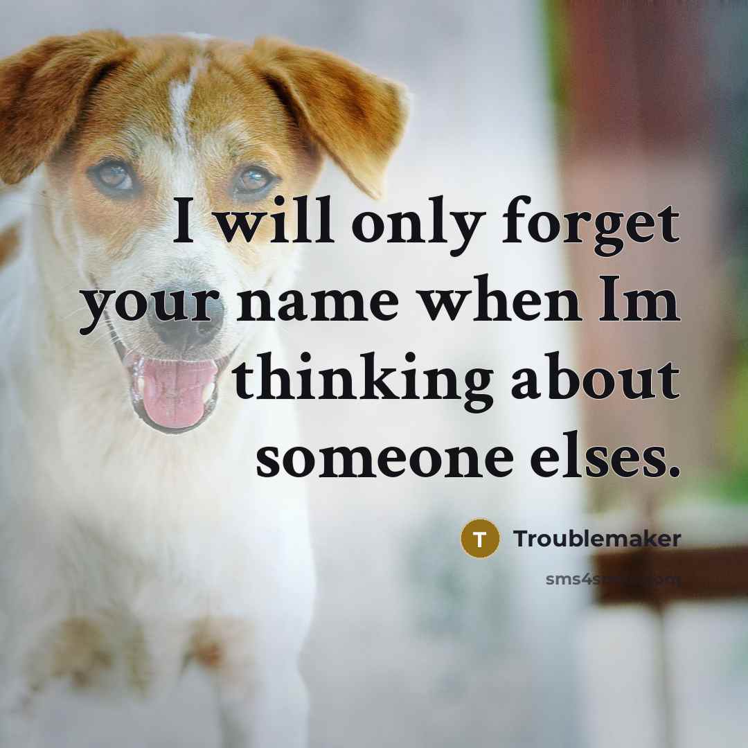 “I will only forget your name when Im thinking about someone elses.” quote by Troublemaker