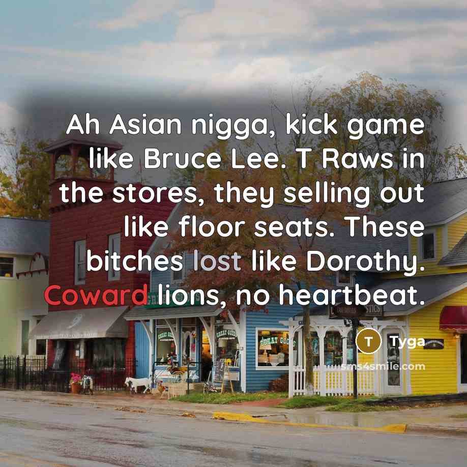 “Ah Asian nigga, kick game like Bruce Lee. T Raws in the stores, they selling out like floor seats. These bitches lost like Dorothy. Coward lions, no heartbeat.” quote by Tyga