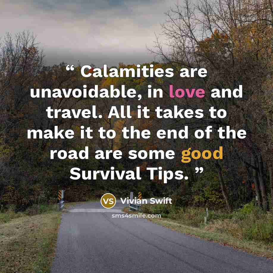 “Calamities are unavoidable, in love and travel. All it takes to make it to the end of the road are some good Survival Tips.” quote by Vivian Swift