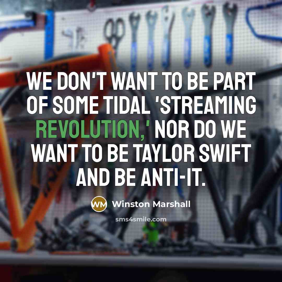 “We don't want to be part of some Tidal 'streaming…” quote by Winston Marshall