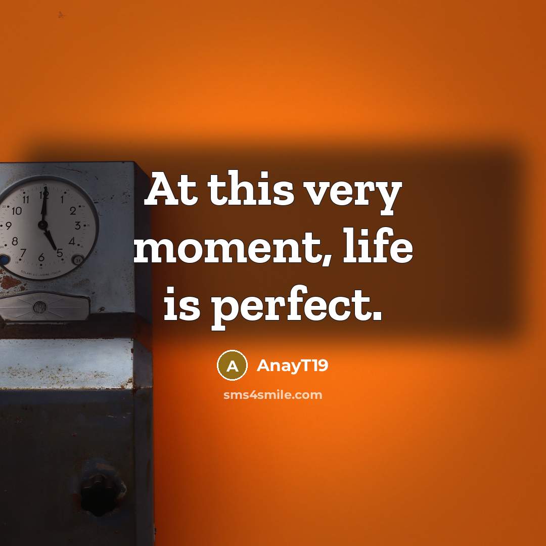 “At this very moment, life is perfect.…” quote by AnayT19