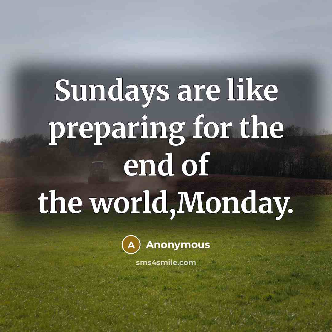 “Sundays are like preparing for the end of the world,Monday.” quote by Anonymous