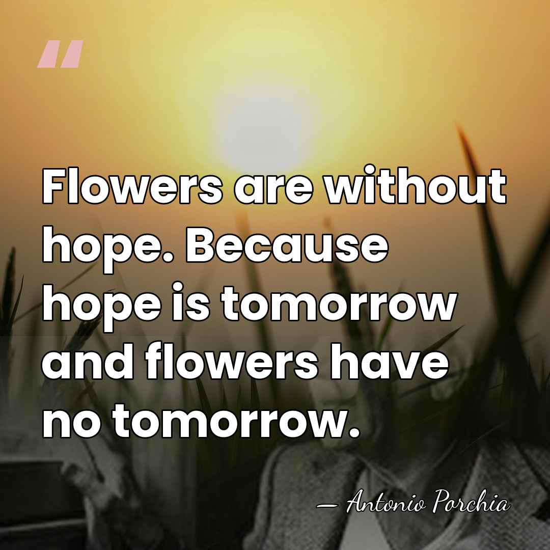Flowers are without hope. Because hope is tomorrow and flowers have no&hellip; - Antonio Porchia