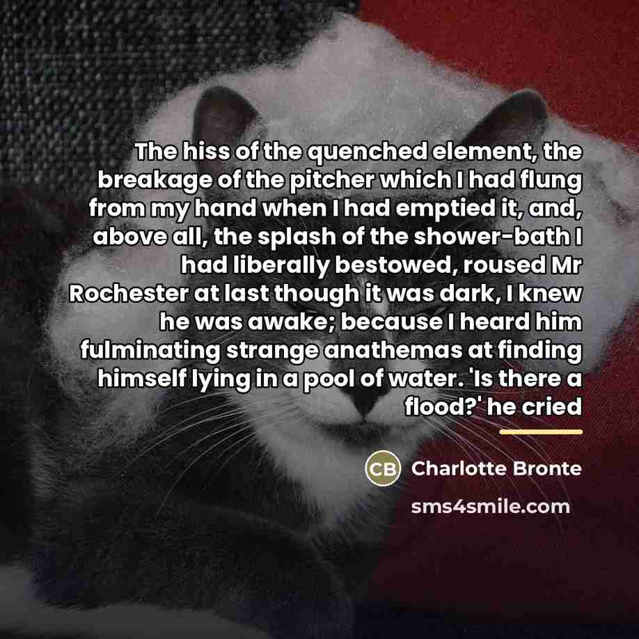 “The hiss of the quenched element, the breakage of the…” quote by Charlotte Bronte