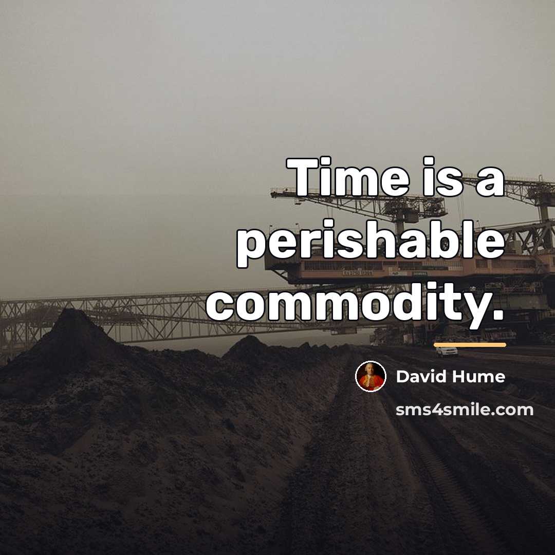 “Time is a perishable commodity.…” quote by David Hume