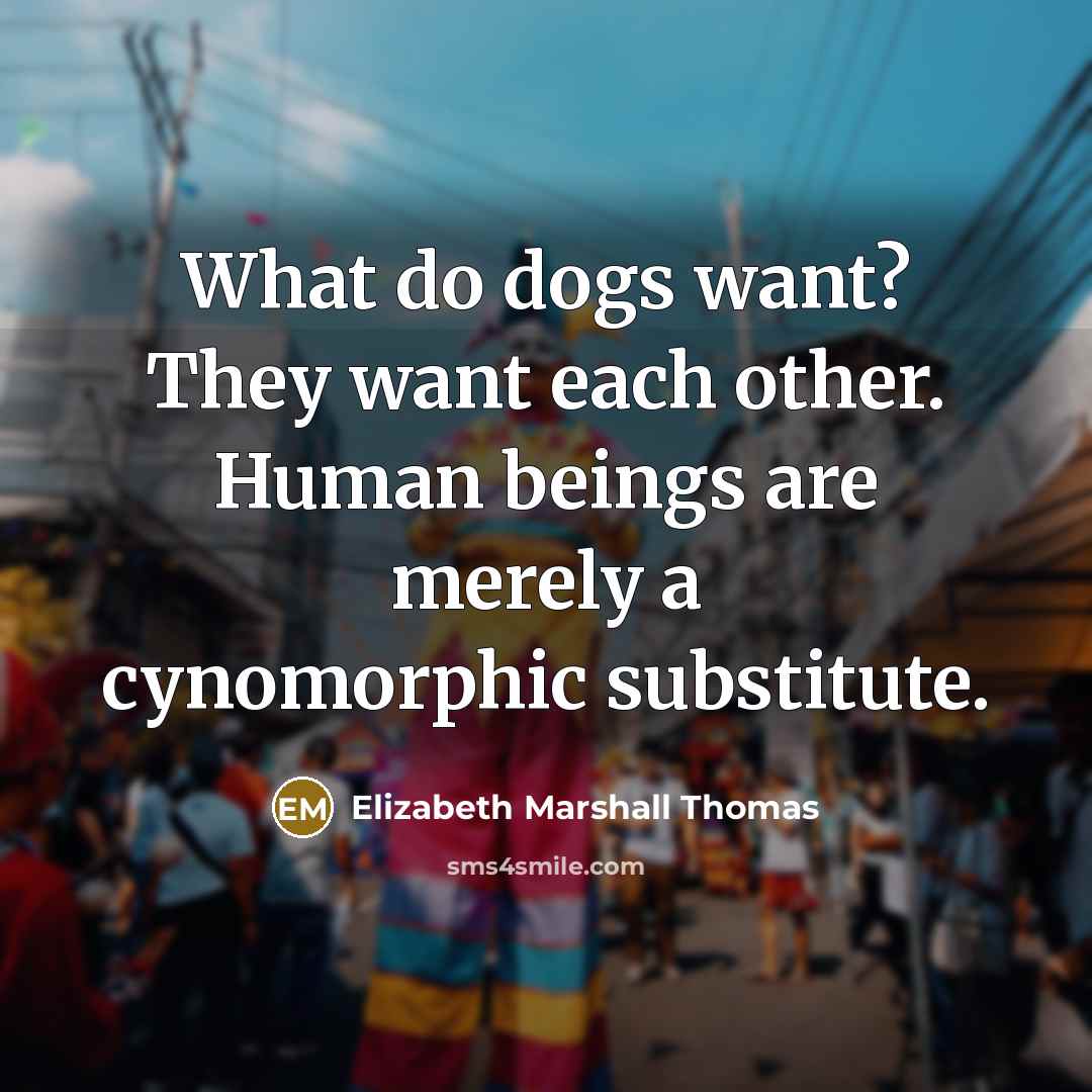 “What do dogs want? They want each other. Human beings…” quote by Elizabeth Marshall Thomas
