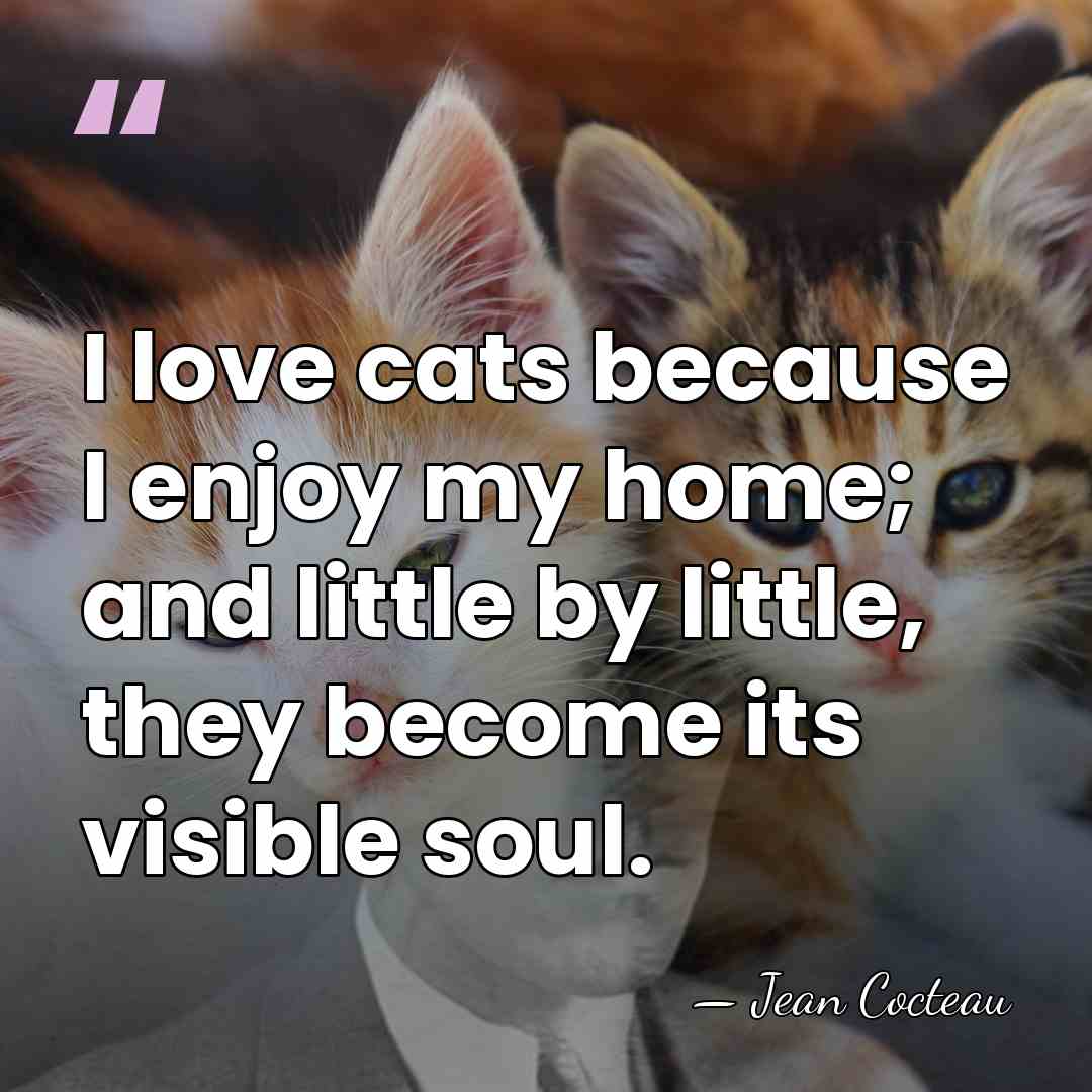 I love cats because I enjoy my home; and little by little,&hellip; - Jean Cocteau
