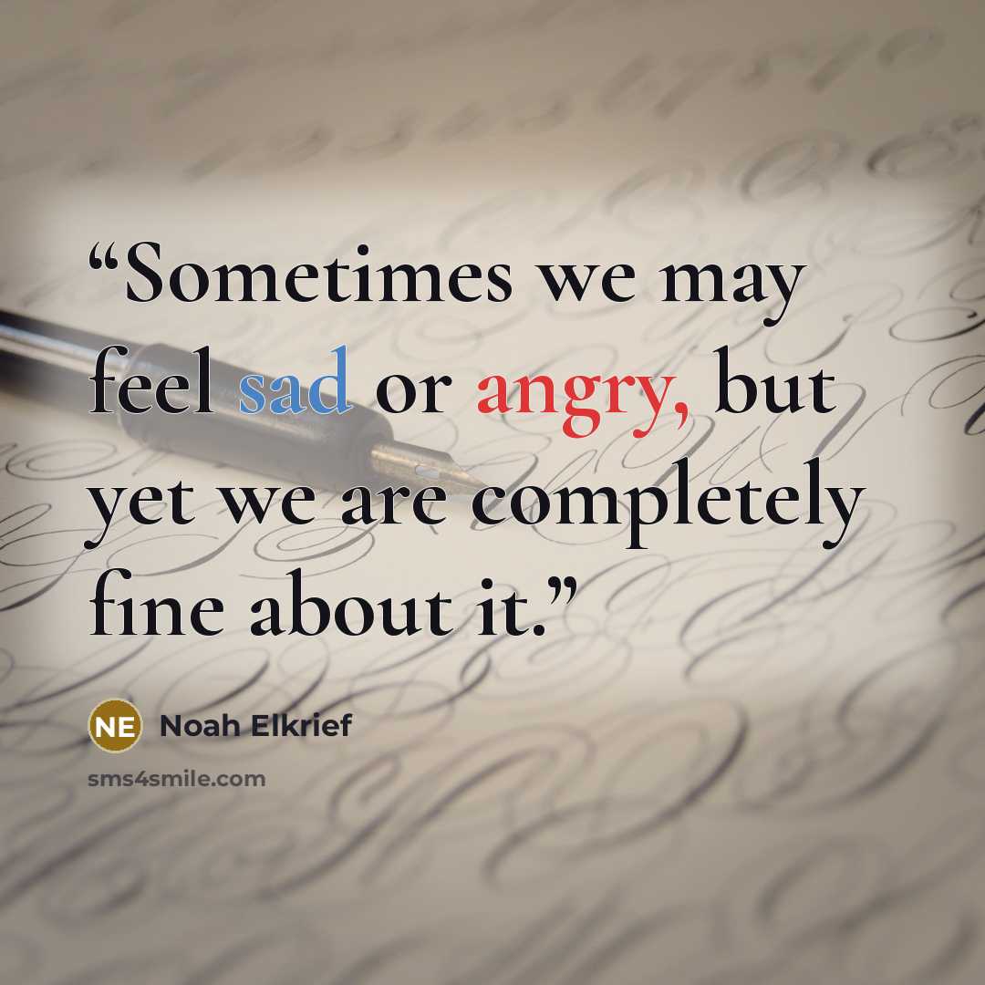 “Sometimes we may feel sad or angry, but yet we are completely fine about it.” quote by Noah Elkrief