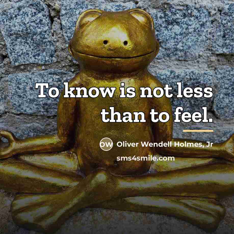 “To know is not less than to feel.…” quote by Oliver Wendell Holmes, Jr