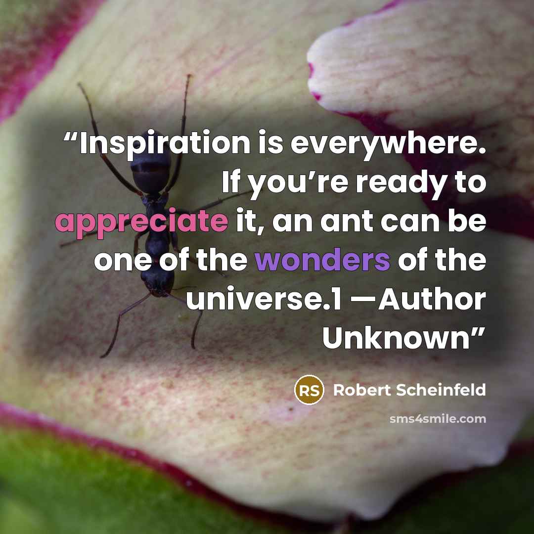 “Inspiration is everywhere. If you’re ready to appreciate it, an ant can be one of the wonders of the universe.1 —Author Unknown” quote by Robert Scheinfeld