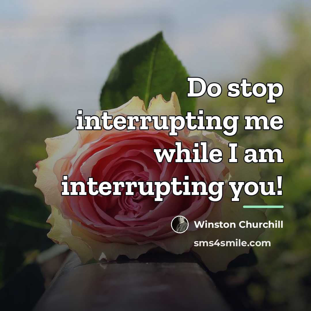 “Do stop interrupting me while I am interrupting you!…” quote by Winston Churchill