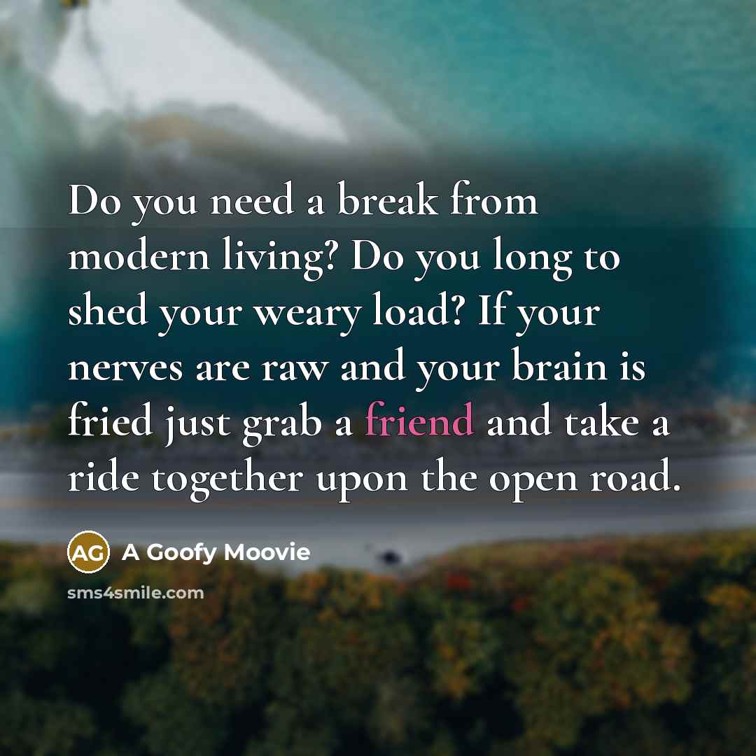 “Do you need a break from modern living? Do you long to shed your weary load? If your nerves are raw and your brain is fried just grab a friend and take a ride together upon the open road.” quote by A Goofy Moovie