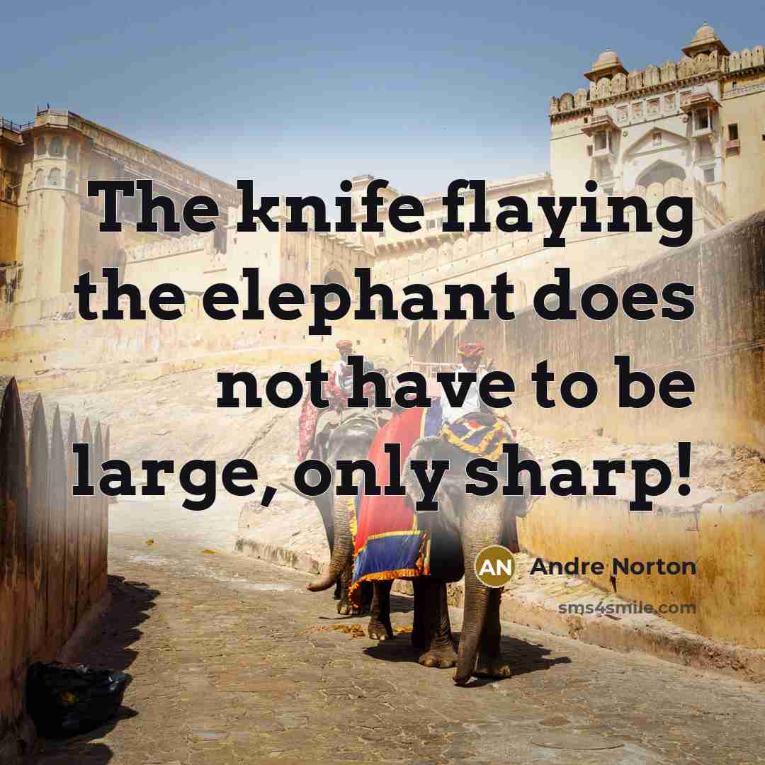 “The knife flaying the elephant does not have to be…” quote by Andre Norton
