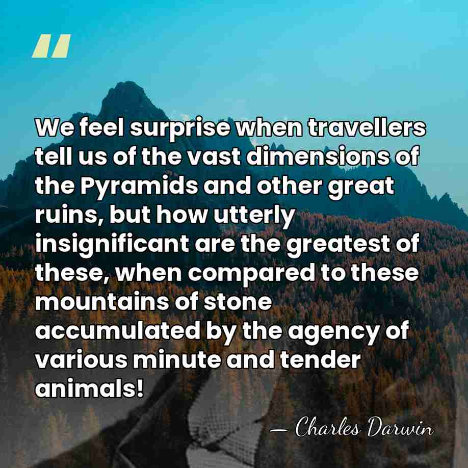 We feel surprise when travellers tell us of the vast dimensions of&hellip; - Charles Darwin