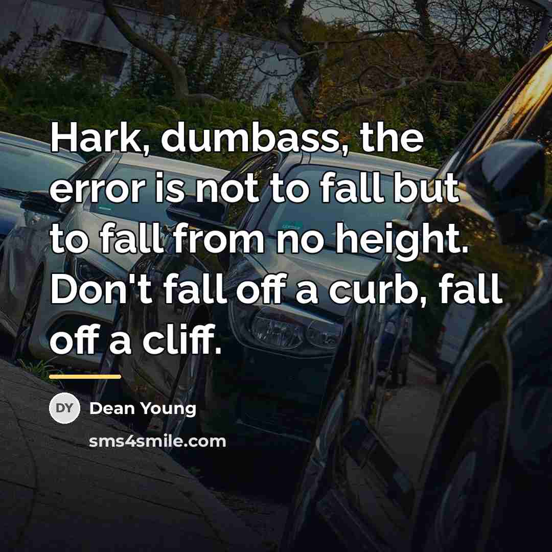 “Hark, dumbass, the error is not to fall but to…” quote by Dean Young