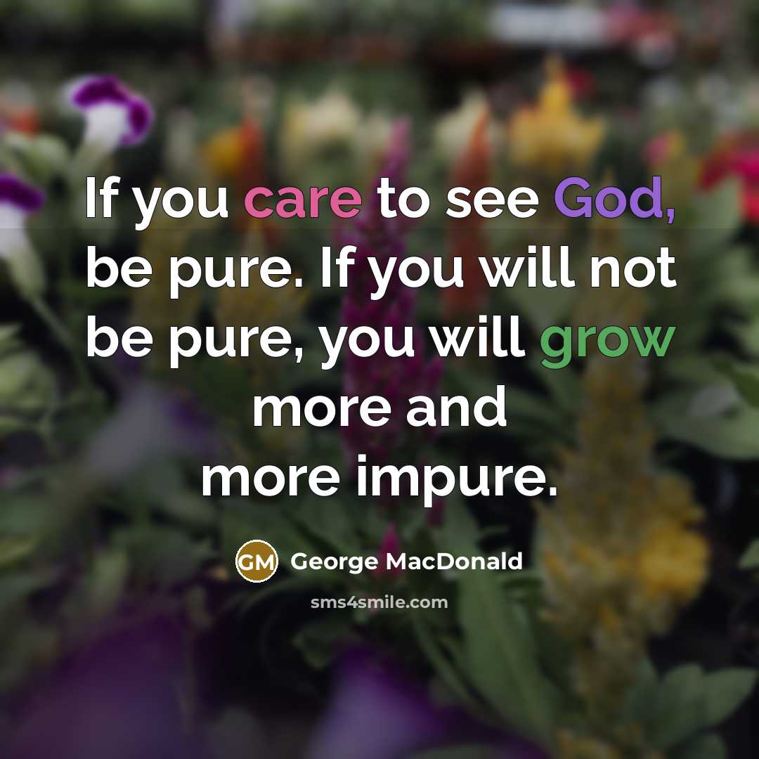 “If you care to see God, be pure. If you…” quote by George MacDonald