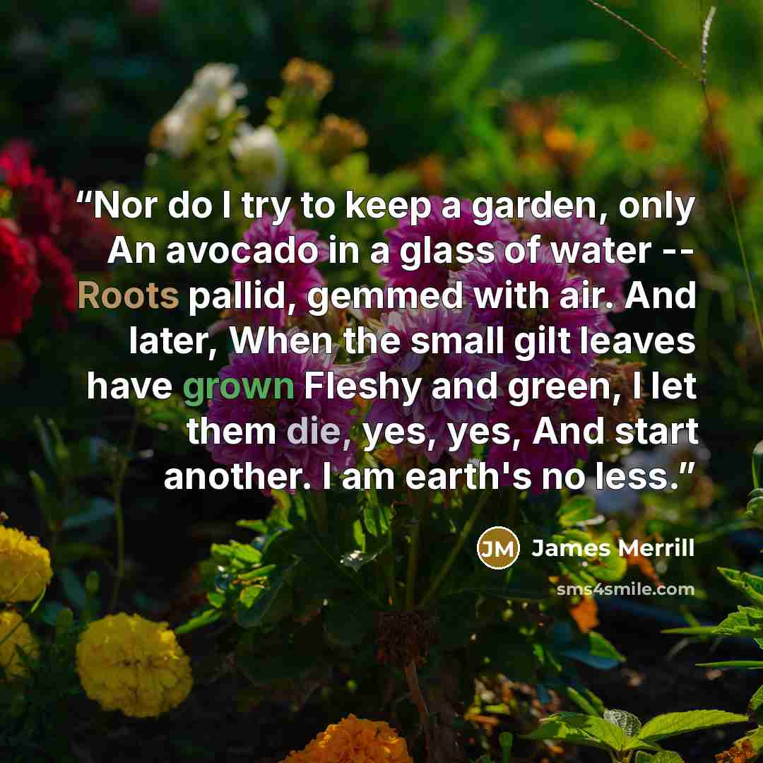 “Nor do I try to keep a garden, only An avocado in a glass of water -- Roots pallid, gemmed with air. And later, When the small gilt leaves have grown Fleshy and green, I let them die, yes, yes, And start another. I am earth's no less.” quote by James Merrill