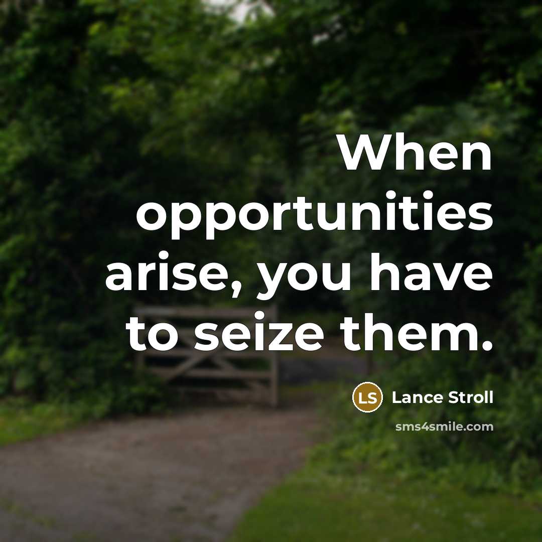 “When opportunities arise, you have to seize them.…” quote by Lance Stroll