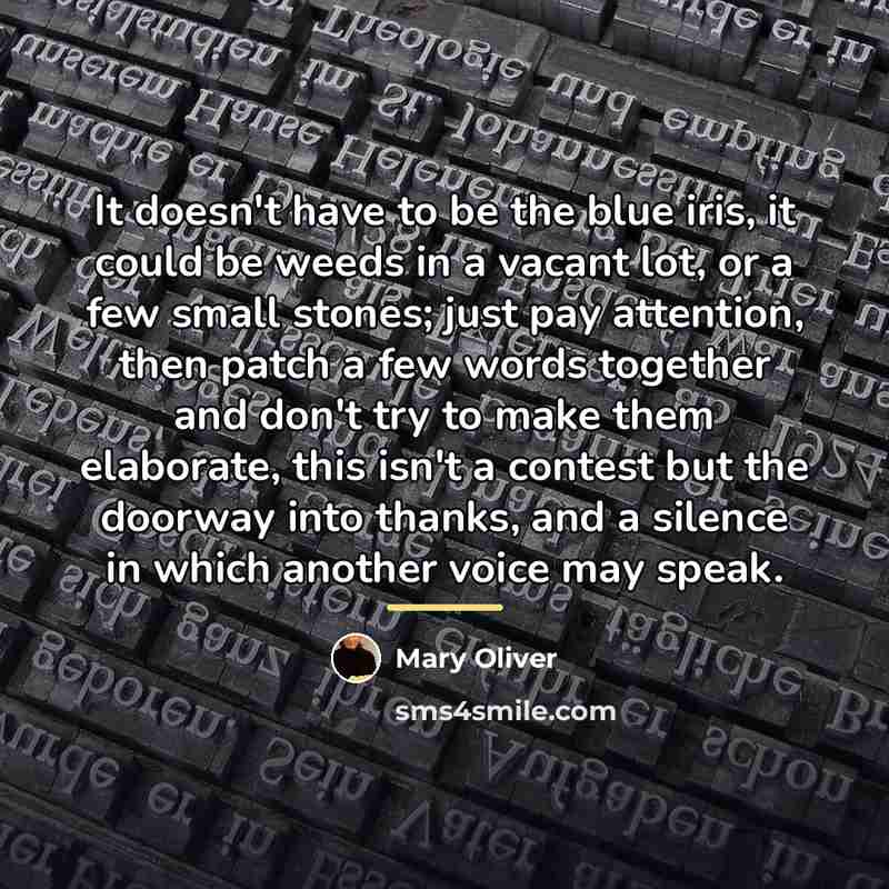 “It doesn't have to be the blue iris, it could…” quote by Mary Oliver