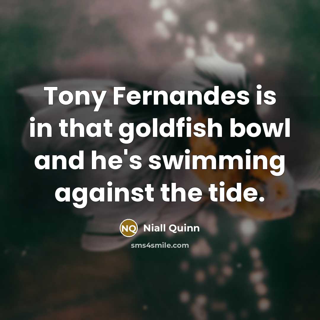 “Tony Fernandes is in that goldfish bowl and he's swimming…” quote by Niall Quinn