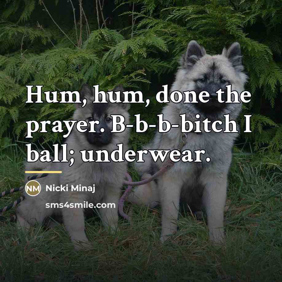 “Hum, hum, done the prayer. B-b-b-bitch I ball; underwear.…” quote by Nicki Minaj