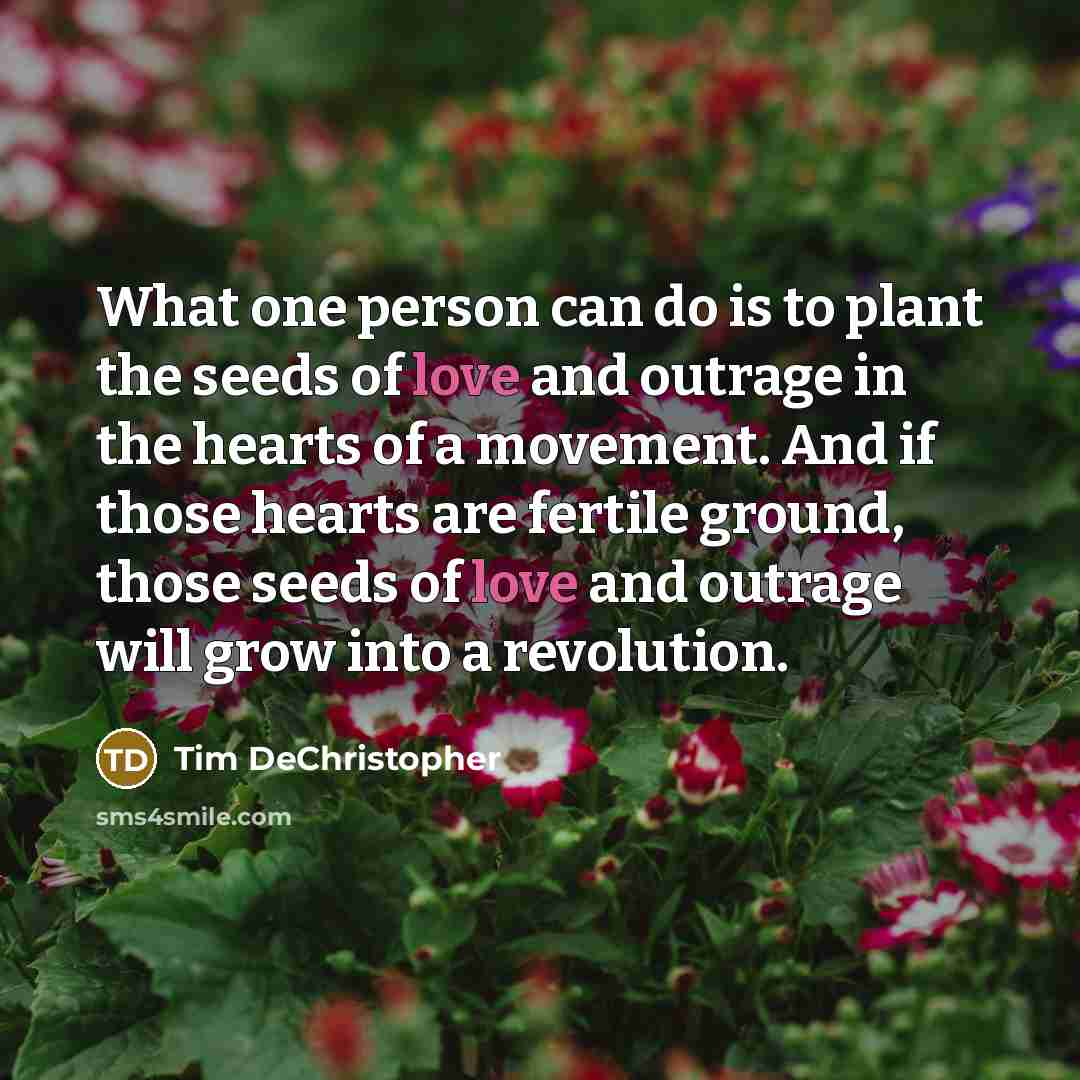 “What one person can do is to plant the seeds…” quote by Tim DeChristopher