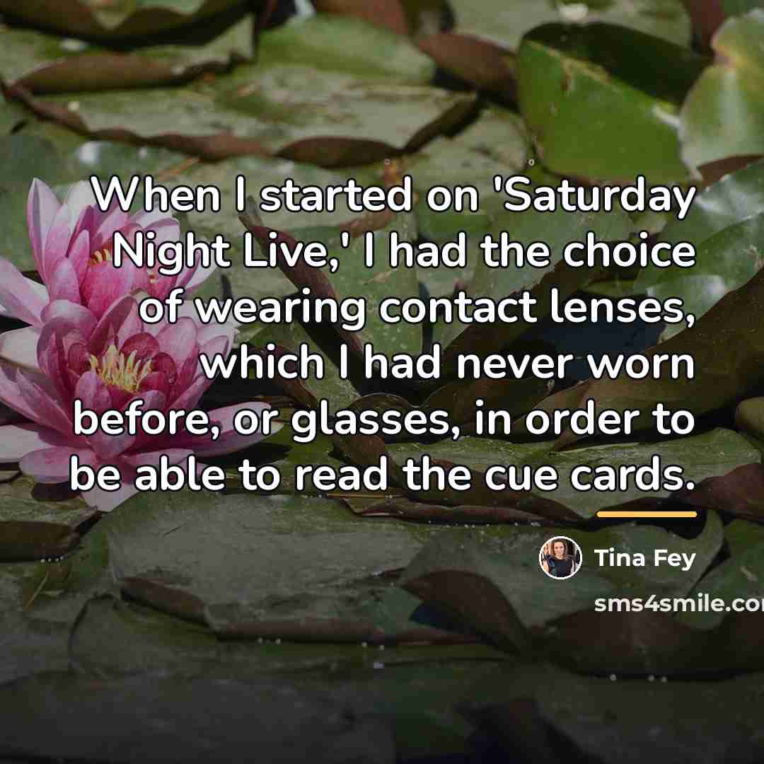 “When I started on 'Saturday Night Live,' I had the…” quote by Tina Fey