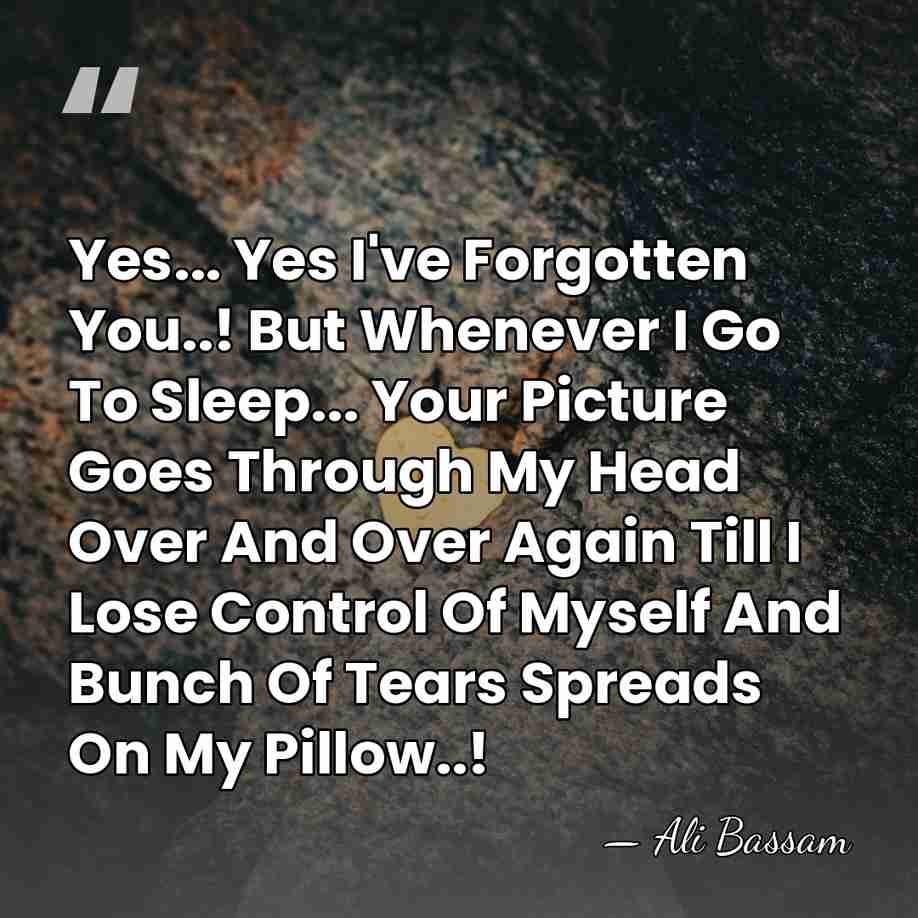 Yes... Yes I've Forgotten You..! But Whenever I Go To Sleep... Your&hellip; - Ali Bassam