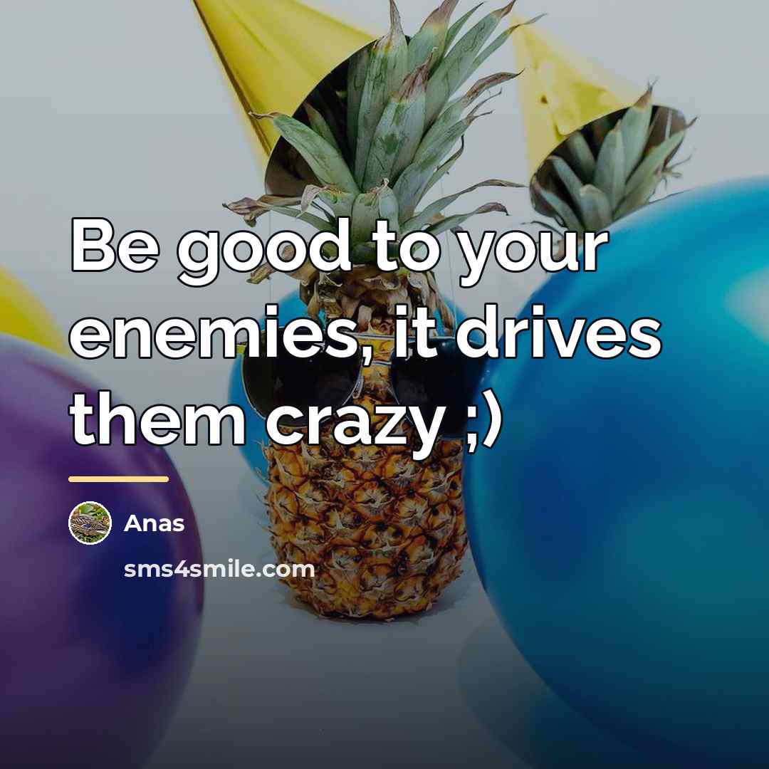 “Be good to your enemies, it drives them crazy ;)…” quote by Anas