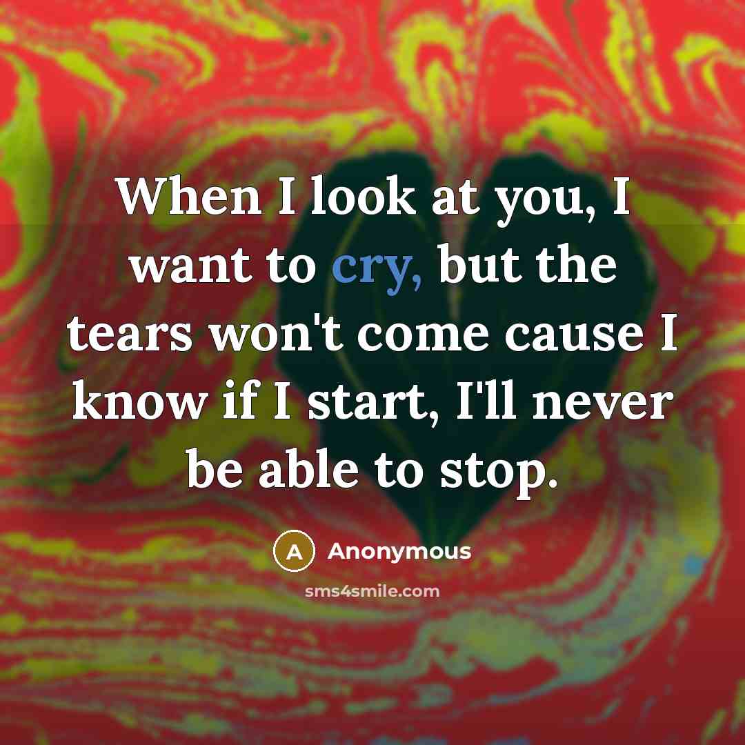 “When I look at you, I want to cry, but…” quote by Anonymous