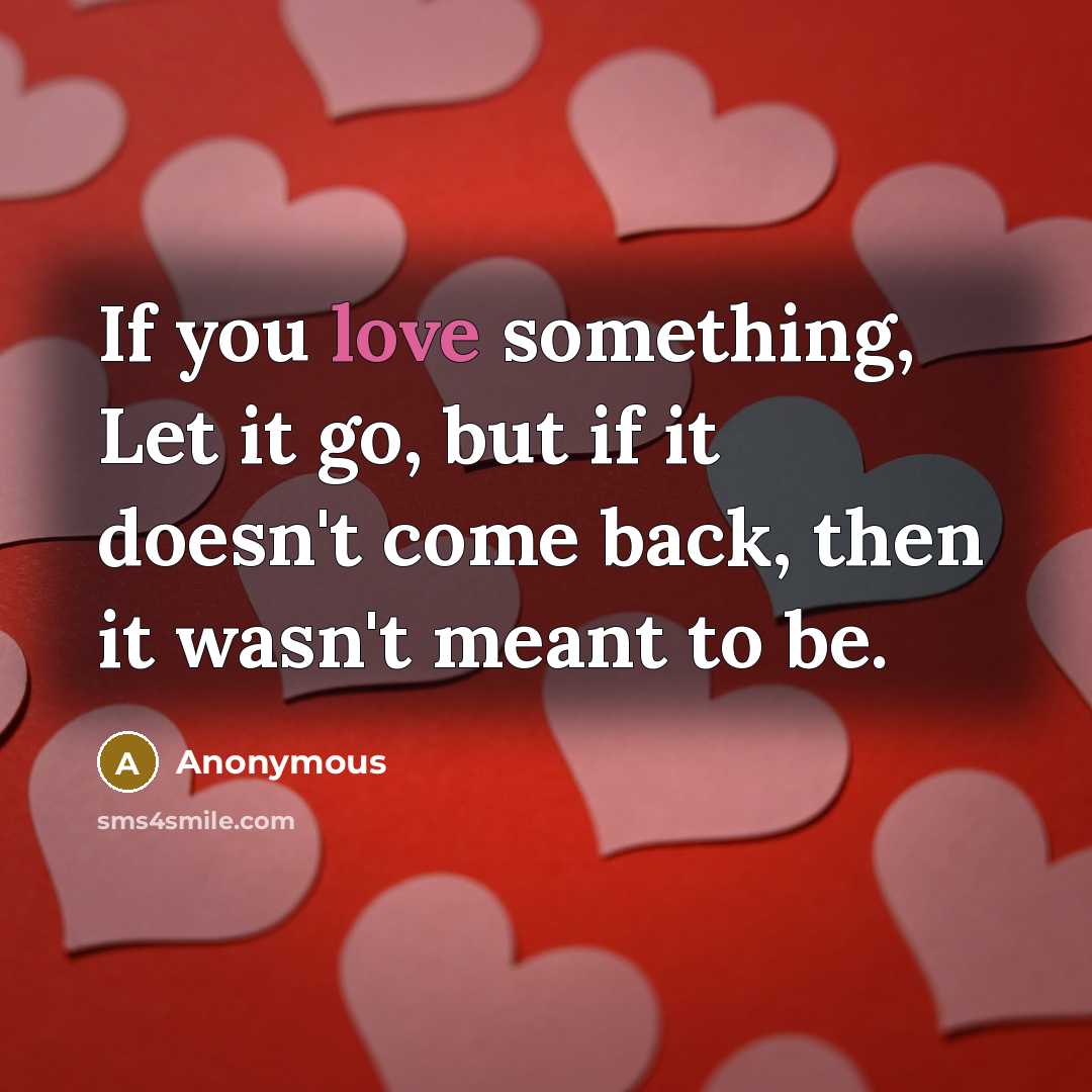 “If you love something, Let it go, but if it…” quote by Anonymous