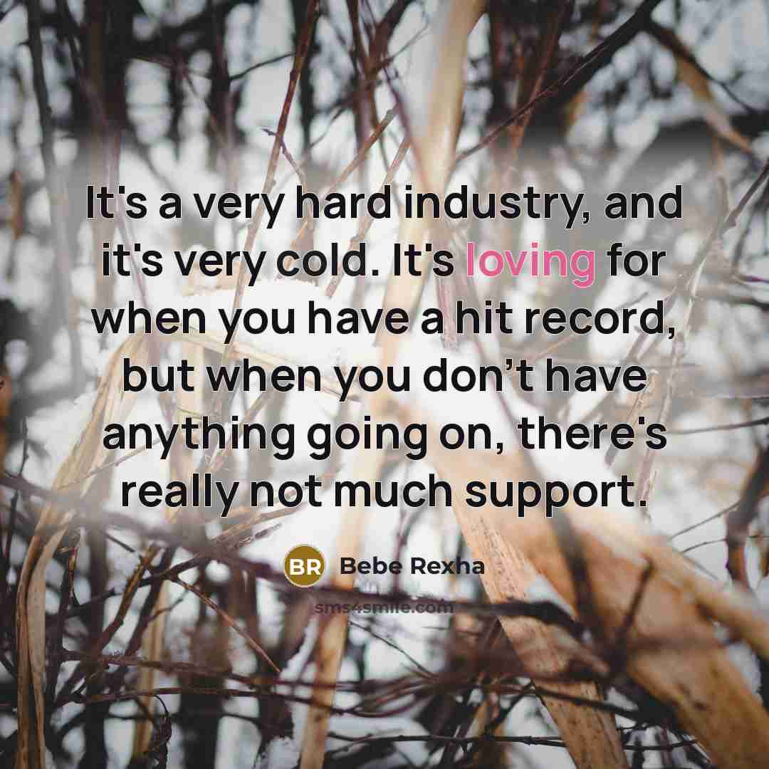 “It's a very hard industry, and it's very cold. It's…” quote by Bebe Rexha