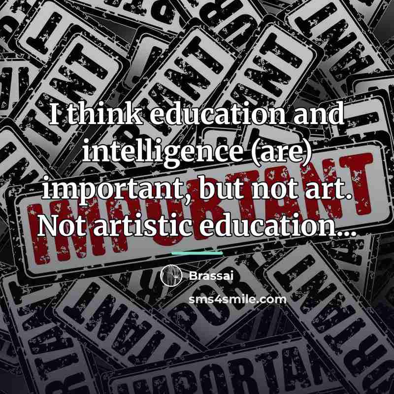 “I think education and intelligence (are) important, but not art.…” quote by Brassai