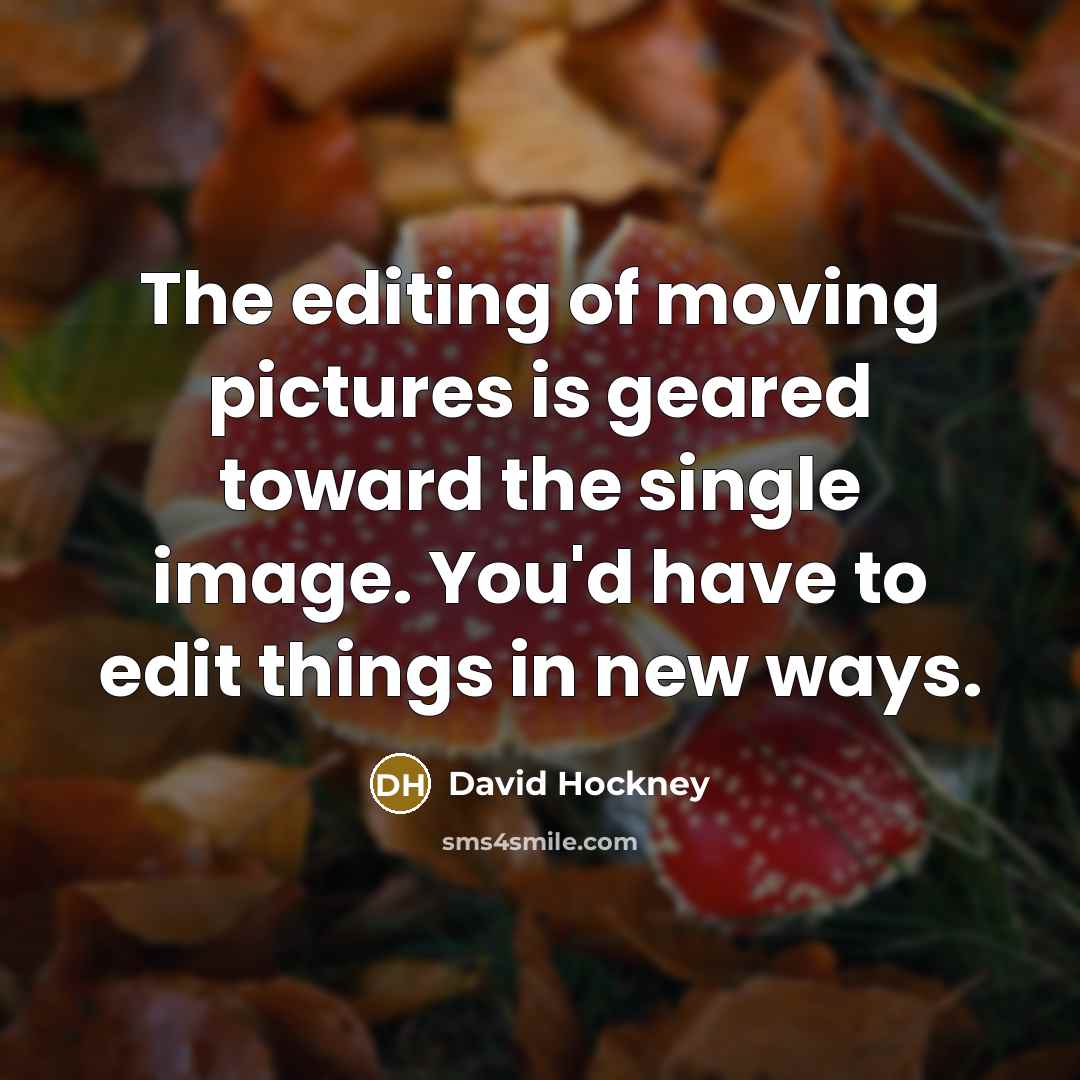 “The editing of moving pictures is geared toward the single image. You'd have to edit things in new ways.” quote by David Hockney
