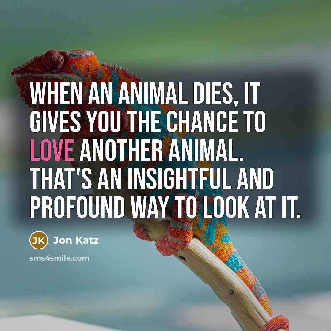“When an animal dies, it gives you the chance to…” quote by Jon Katz