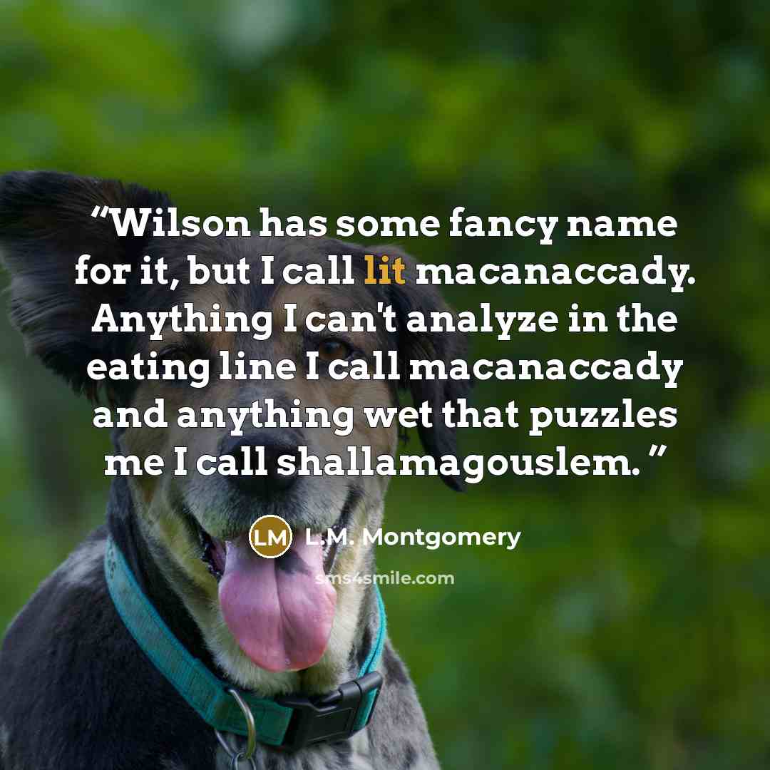 “Wilson has some fancy name for it, but I call lit macanaccady. Anything I can't analyze in the eating line I call macanaccady and anything wet that puzzles me I call shallamagouslem.” quote by L.M. Montgomery