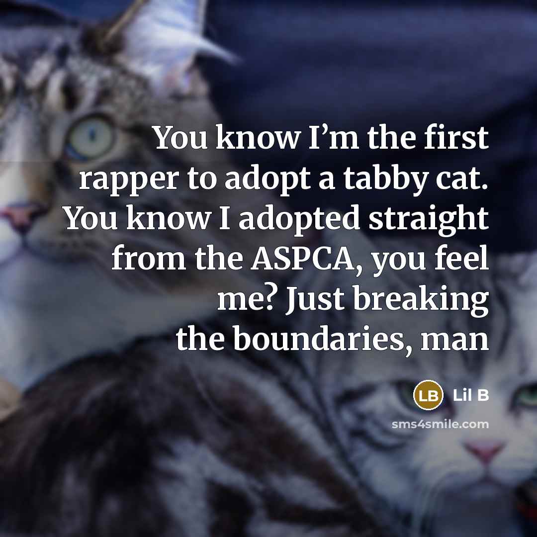 “You know I’m the first rapper to adopt a tabby cat. You know I adopted straight from the ASPCA, you feel me? Just breaking the boundaries, man” quote by Lil B
