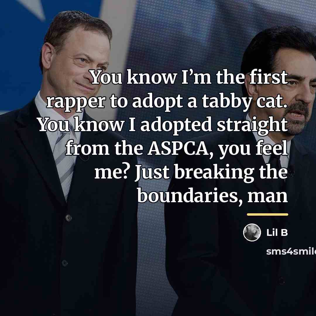 “You know I’m the first rapper to adopt a tabby…” quote by Lil B