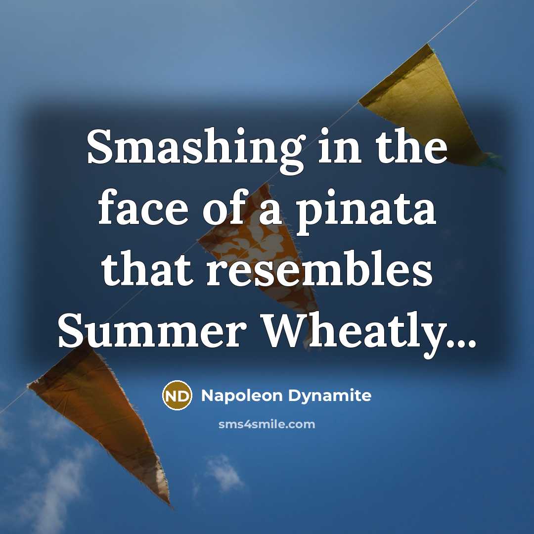 “Smashing in the face of a pinata that resembles Summer…” quote by Napoleon Dynamite